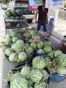 即墨吃瓜网红事件,网络舆论的风暴与反思